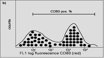 Ces deux histogrammes représentent les résultats des marqueurs de surface CD14 (a) et CD80 (b) pris séparément.