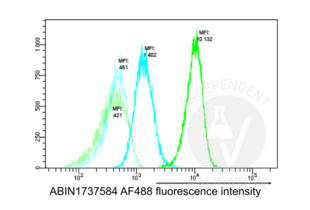 Flow Cytometry validation image for anti-Nucleophosmin (Nucleolar phosphoprotein B23, Numatrin) (NPM1) (AA 250-298), (C-Term) antibody (ABIN1737584) (NPM1 anticorps  (C-Term))