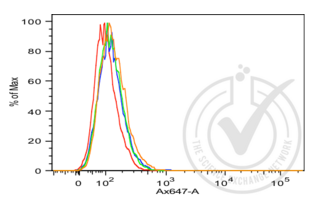 Flow Cytometry validation image for anti-Cadherin 1, Type 1, E-Cadherin (Epithelial) (CDH1) (AA 401-500) antibody (ABIN1387847) (E-cadherin anticorps  (AA 401-500))