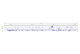 Cleavage Under Targets and Release Using Nuclease validation image for anti-Homeobox A13 (HOXA13) (AA 332-388) antibody (ABIN1386749) (HOXA13 anticorps  (AA 332-388))