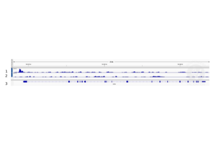 Cleavage Under Targets and Release Using Nuclease validation image for anti-ALX Homeobox 4 (ALX4) (AA 249-275) antibody (ABIN2844113) (ALX4 anticorps  (AA 249-275))