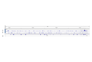 Cleavage Under Targets and Release Using Nuclease validation image for anti-Homeobox D8 (HOXD8) (AA 243-270), (C-Term) antibody (ABIN2850170)