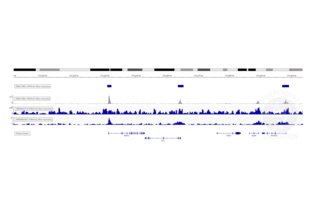 Alignment to mouse NCBI37/mm9 reference genome of reads from CUT&RUN targeting H3K4me3 in LSK cells using ABIN6952467 (tracks 3 and 4) and ENCODE H3K4me3 ChIP-seq signal (accession ENCFF001MZZ, track 2; peaks in track 1). 