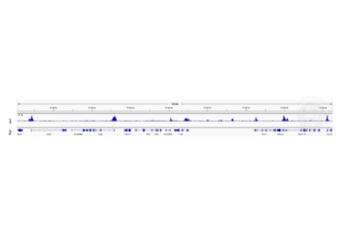 Cleavage Under Targets and Release Using Nuclease validation image for anti-Histone H3 (H3) (3meLys4) antibody (ABIN6971977) (Histone 3 anticorps  (3meLys4))