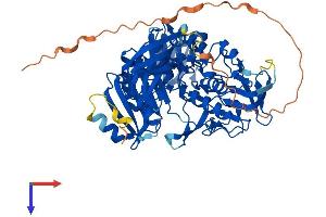 AlphaFold protein structure predicition of Human Recombinant AIFM3 Protein, UniprotID Q96NN9