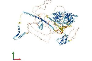 AlphaFold protein structure predicition of Mouse Recombinant Smarca2 Protein, UniprotID Q6DIC0