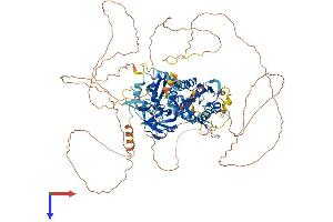 AlphaFold protein structure predicition of Human Recombinant LPIN1 Protein, UniprotID Q14693