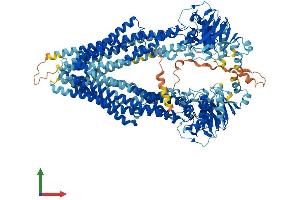 AlphaFold protein structure predicition of Human Recombinant ABCB5 Protein, UniprotID Q2M3G0