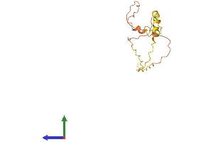 AlphaFold protein structure predicition of Human Recombinant LINC00588 Protein, UniprotID Q9Y4M8