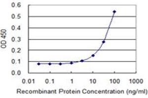 Detection limit for recombinant GST tagged GAD2 is 3 ng/ml as a capture antibody. (GAD65 anticorps  (AA 1-585))
