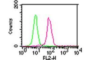 IKK alpha Flow Cytometry Flow Cytometry of Mouse Anti-IKK alpha antibody.