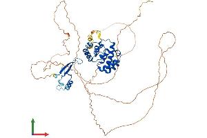 AlphaFold protein structure predicition of Human Recombinant MBD4 Protein, UniprotID O95243