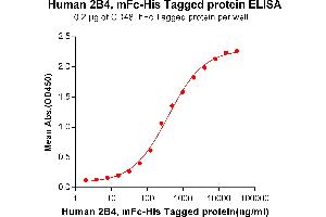 ELISA plate pre-coated by 2 μg/mL (100 μL/well) Human 2B4, mFc-His tagged protein (ABIN6961083) can bind Human CD48, hFc tagged protein (ABIN6961161) in a linear range of 31.