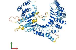 AlphaFold protein structure predicition of Mouse Recombinant Lrrc14 Protein, UniprotID Q8VC16