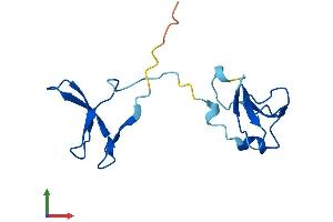 AlphaFold protein structure predicition of Human Recombinant POLR2I Protein, UniprotID P36954