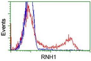 HEK293T cells transfected with either RC208360 overexpress plasmid (Red) or empty vector control plasmid (Blue) were immunostained by anti-RNH1 antibody (ABIN2453613), and then analyzed by flow cytometry. (RNH1 anticorps)