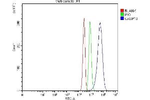 Flow Cytometry analysis of SiHa cells using anti-Caspase-10/CASP10 antibody (ABIN7601039). (Caspase 10 anticorps  (AA 271-482))