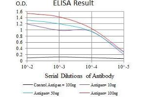 Black line: Control Antigen (100 ng), Purple line: Antigen(10 ng), Blue line: Antigen (50 ng), Red line: Antigen (100 ng),