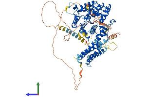 AlphaFold protein structure predicition of Mouse Recombinant Git2 Protein, UniprotID Q9JLQ2