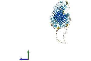 AlphaFold protein structure predicition of Human Recombinant LRRC8B Protein, UniprotID Q6P9F7