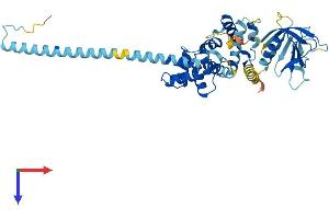 AlphaFold protein structure predicition of Mouse Recombinant Cyth1 Protein, UniprotID Q9QX11