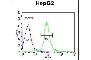 VHL Antibody (C-term) (ABIN390463 and ABIN2840833) flow cytometric analysis of HepG2 cells (right histogram) compared to a negative control cell (left histogram). (VHL anticorps  (C-Term))