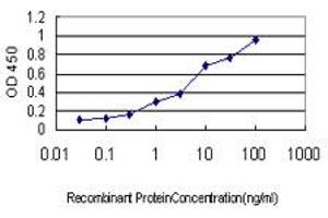 Detection limit for recombinant GST tagged GCG is approximately 0. (Glucagon anticorps  (AA 1-180))
