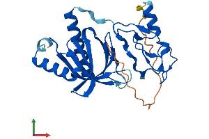 AlphaFold protein structure predicition of Mouse Recombinant Plekhf2 Protein, UniprotID Q91WB4