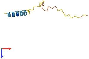 AlphaFold protein structure predicition of Human Recombinant PRCD Protein, UniprotID Q00LT1