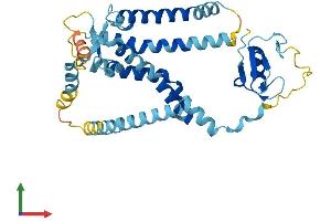 AlphaFold protein structure predicition of Human Recombinant PEX12 Protein, UniprotID O00623