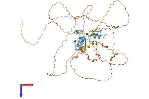 AlphaFold protein structure predicition of Human Recombinant KLF4 Protein, UniprotID O43474