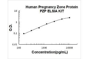 Pregnancy Zone Protein (PZP) ELISA Kit