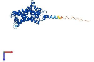 AlphaFold protein structure predicition of Human Recombinant SC5D Protein, UniprotID O75845