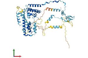 AlphaFold protein structure predicition of Mouse Recombinant Prpf31 Protein, UniprotID Q8CCF0