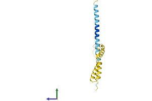 AlphaFold protein structure predicition of Human Recombinant IFITM5 Protein, UniprotID A6NNB3