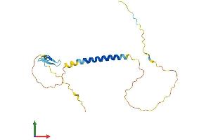 AlphaFold protein structure predicition of Mouse Recombinant Tnfrsf13c Protein, UniprotID Q9D8D0