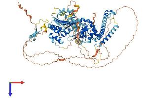 AlphaFold protein structure predicition of Human Recombinant DDX24 Protein, UniprotID Q9GZR7