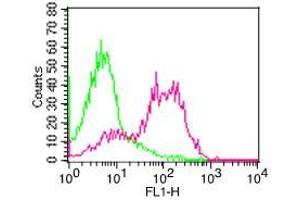 Flow Cytometry (FACS) image for anti-CD6 (CD6) antibody (FITC) (ABIN5027675) (CD6 anticorps  (FITC))