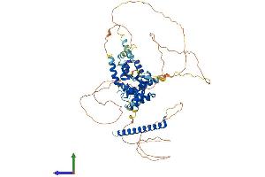 AlphaFold protein structure predicition of Human Recombinant NOL4 Protein, UniprotID O94818