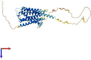 AlphaFold protein structure predicition of Mouse Recombinant Drd4 Protein, UniprotID P51436