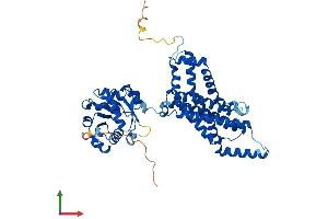 AlphaFold protein structure predicition of Mouse Recombinant Steap3 Protein, UniprotID Q8CI59
