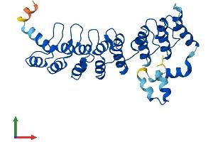 AlphaFold protein structure predicition of Human Recombinant ASB7 Protein, UniprotID Q9H672