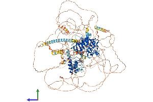 AlphaFold protein structure predicition of Human Recombinant TEX14 Protein, UniprotID Q8IWB6