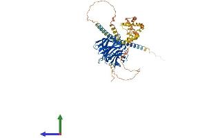 AlphaFold protein structure predicition of Human Recombinant GLDN Protein, UniprotID Q6ZMI3