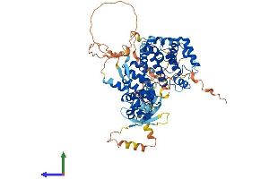 AlphaFold protein structure predicition of Mouse Recombinant Arhgap40 Protein, UniprotID E9Q6X9