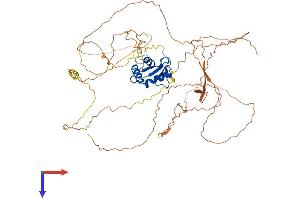 AlphaFold protein structure predicition of Mouse Recombinant Elf1 Protein, UniprotID Q60775
