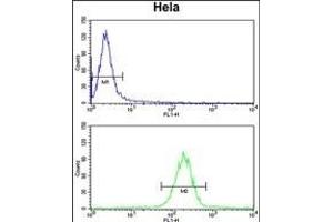 anti-Coiled-Coil Domain Containing 180 (CCDC180) (AA 1048-1077), (C-Term) antibody