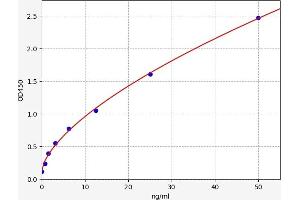Pyruvate Kinase, Liver and RBC (PKLR) ELISA Kit