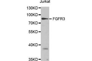 Western Blotting (WB) image for anti-Fibroblast Growth Factor Receptor 3 (FGFR3) (AA 39-138) antibody (ABIN1679839) (FGFR3 anticorps  (AA 39-138))
