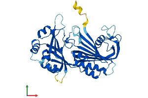 AlphaFold protein structure predicition of Human Recombinant RPP40 Protein, UniprotID O75818